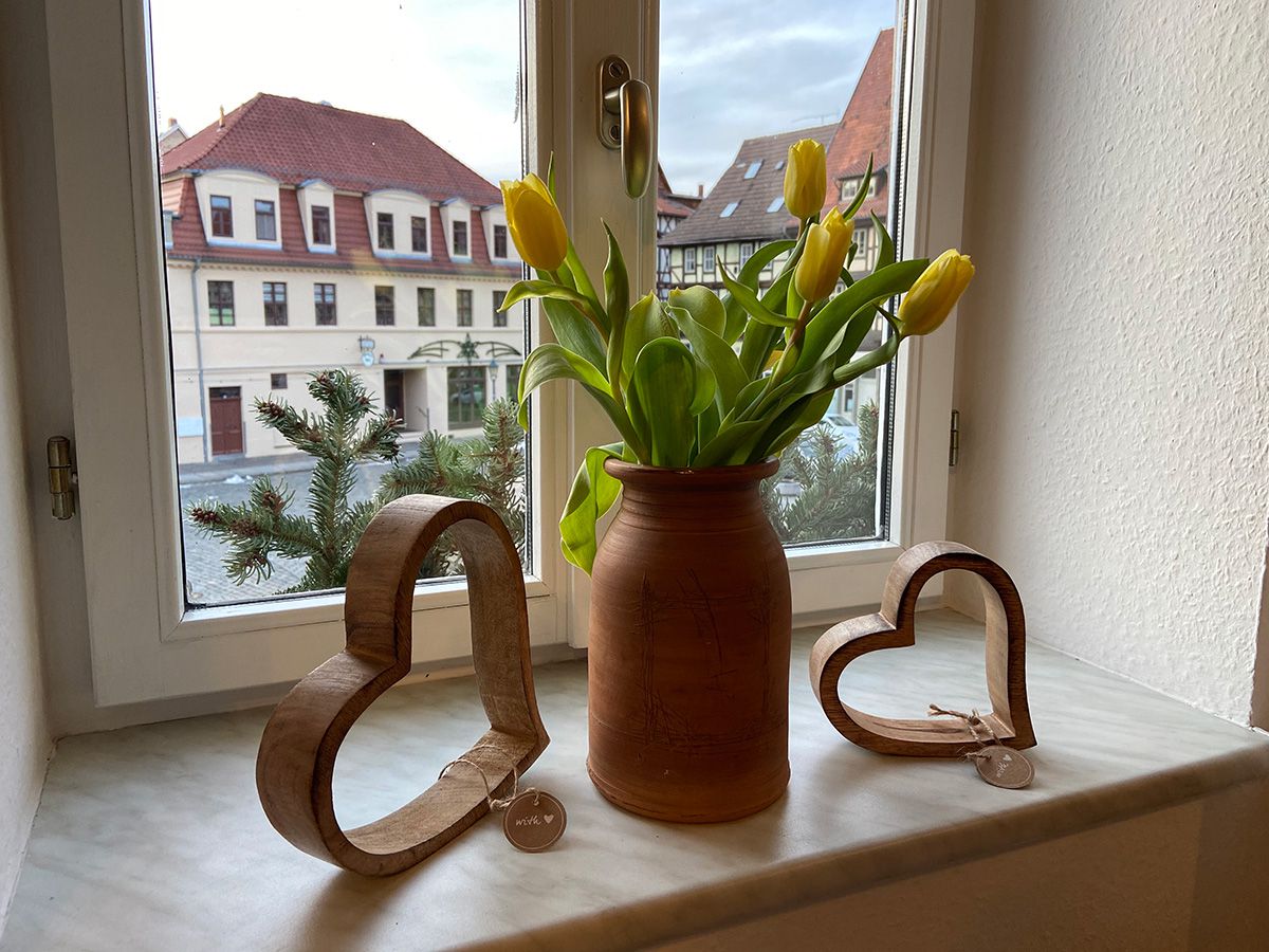 Wohnzimmer mit 2 Schlafsofas